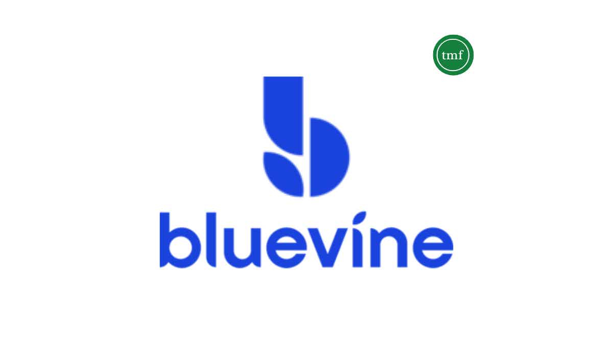Learn everything about Bluevine Business checking account. Source: The Mister Finance.