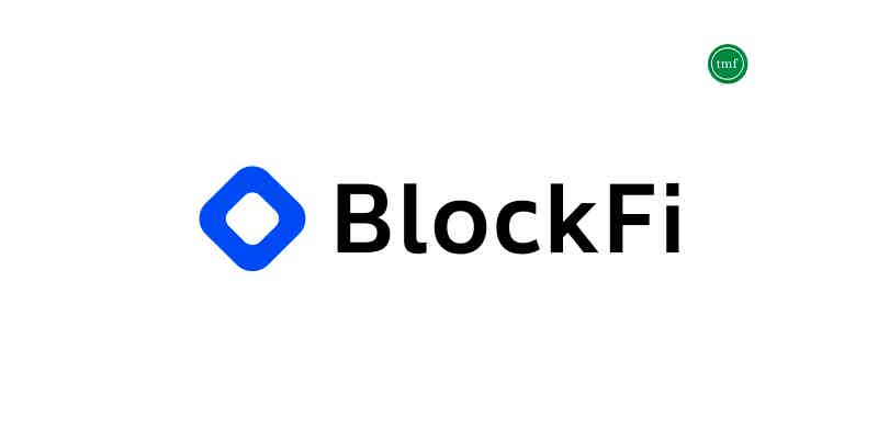 Know everything about this card in our BlockFi Visa credit card review! Source: The Mister Finance.