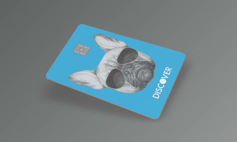 Discover it® Student Cash Back credit card com estampa de cachorro fundo cinza