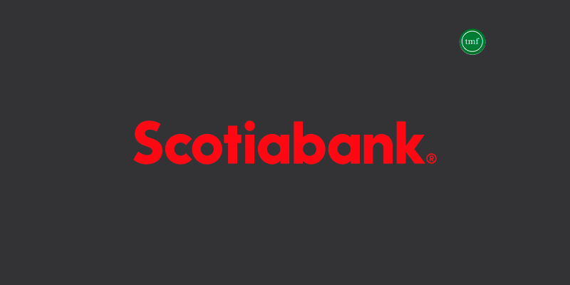 Check out our post about the Scotia Momentum® No-Fee Visa card application! Source: The Mister Finance