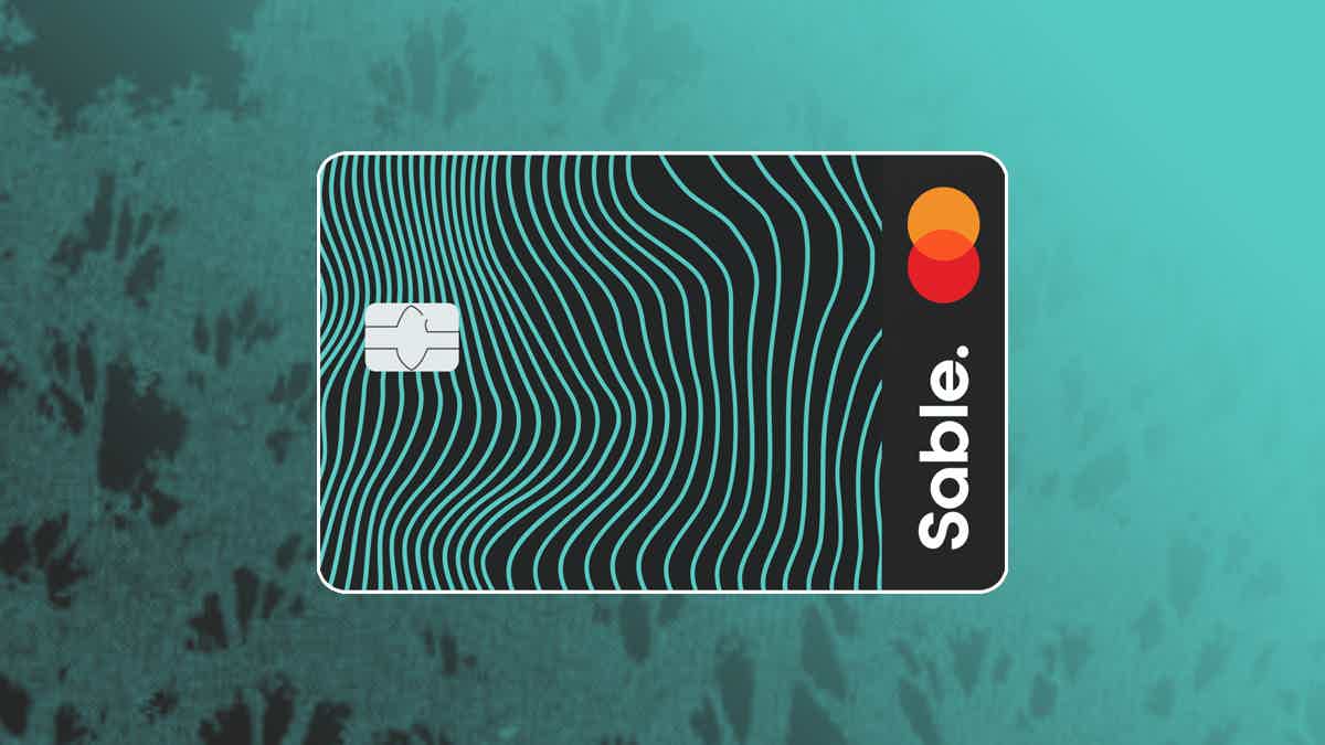 Check out this comprehensive Sable One secured Credit Card review. Source: The Mister Finance. 