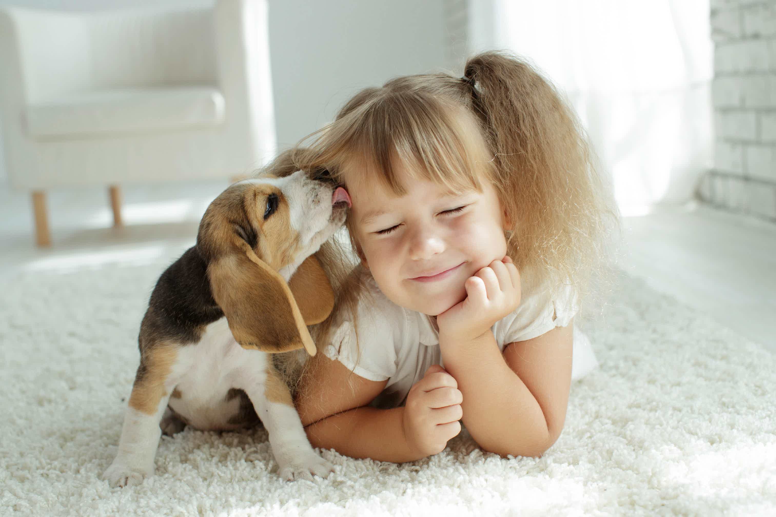 Afinal, vale a pena ter um pet em casa? Fonte: AdobeStock.