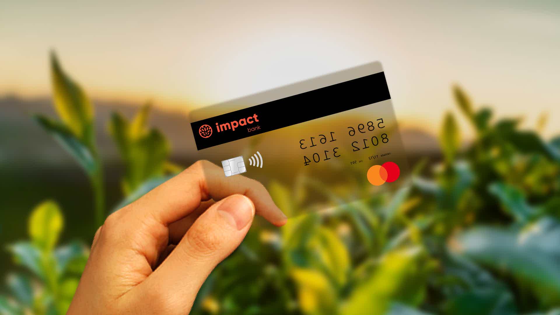 Conheça o Cartão de crédito Impact Bank Imagem: reset