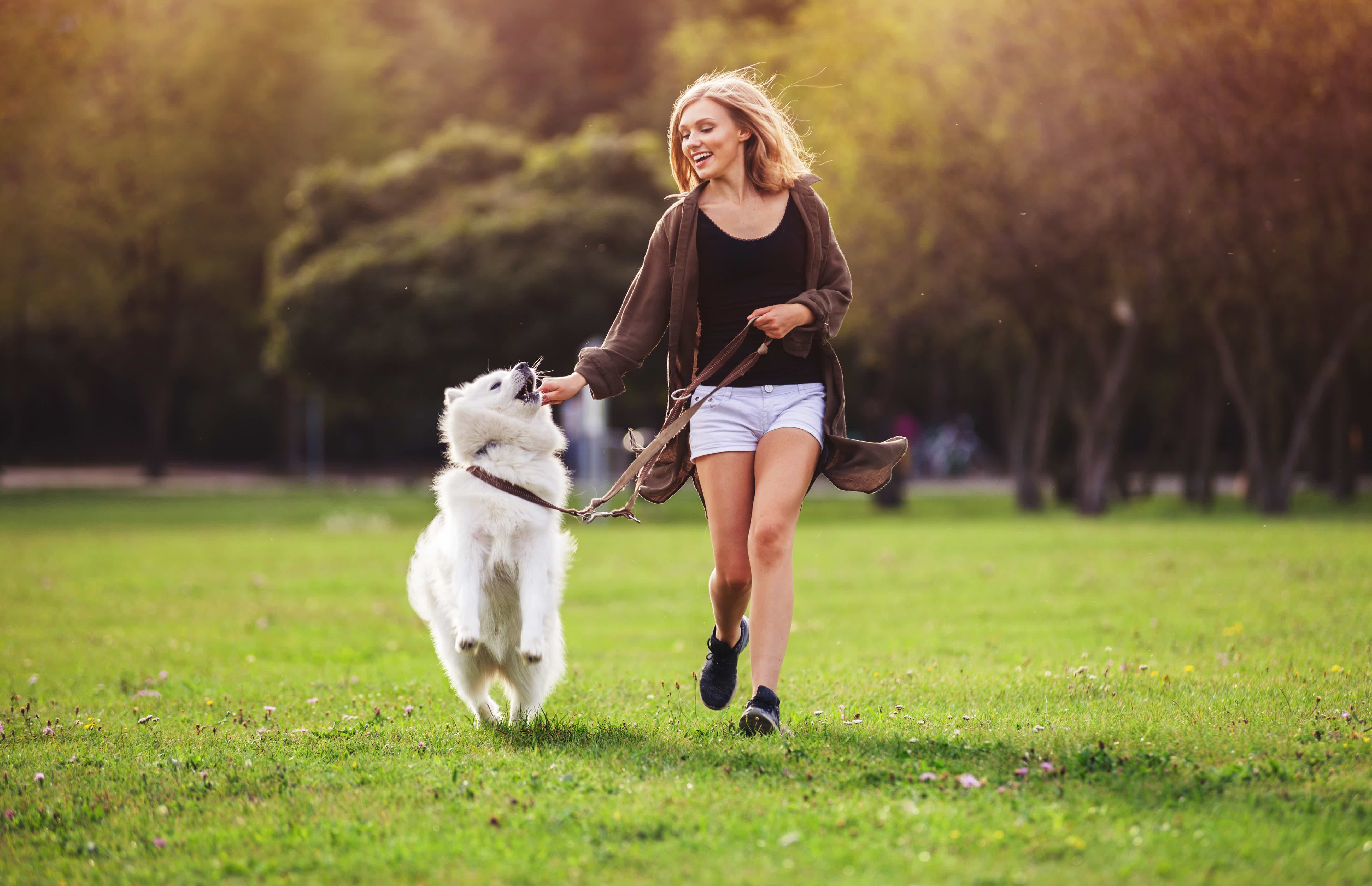 Mulher correndo com cachorro Samoieda