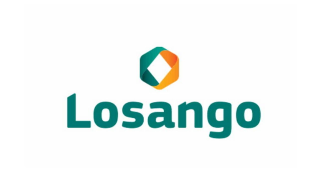 Serviços oferecidos pela Losango