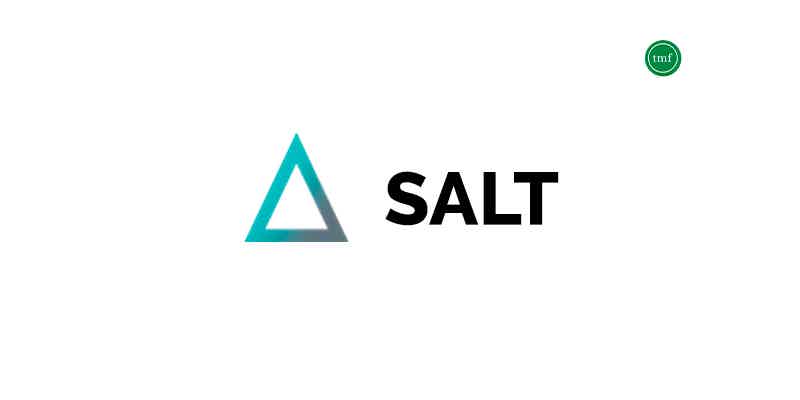 Learn all about how Salt crypto works! Source: The Mister Finance