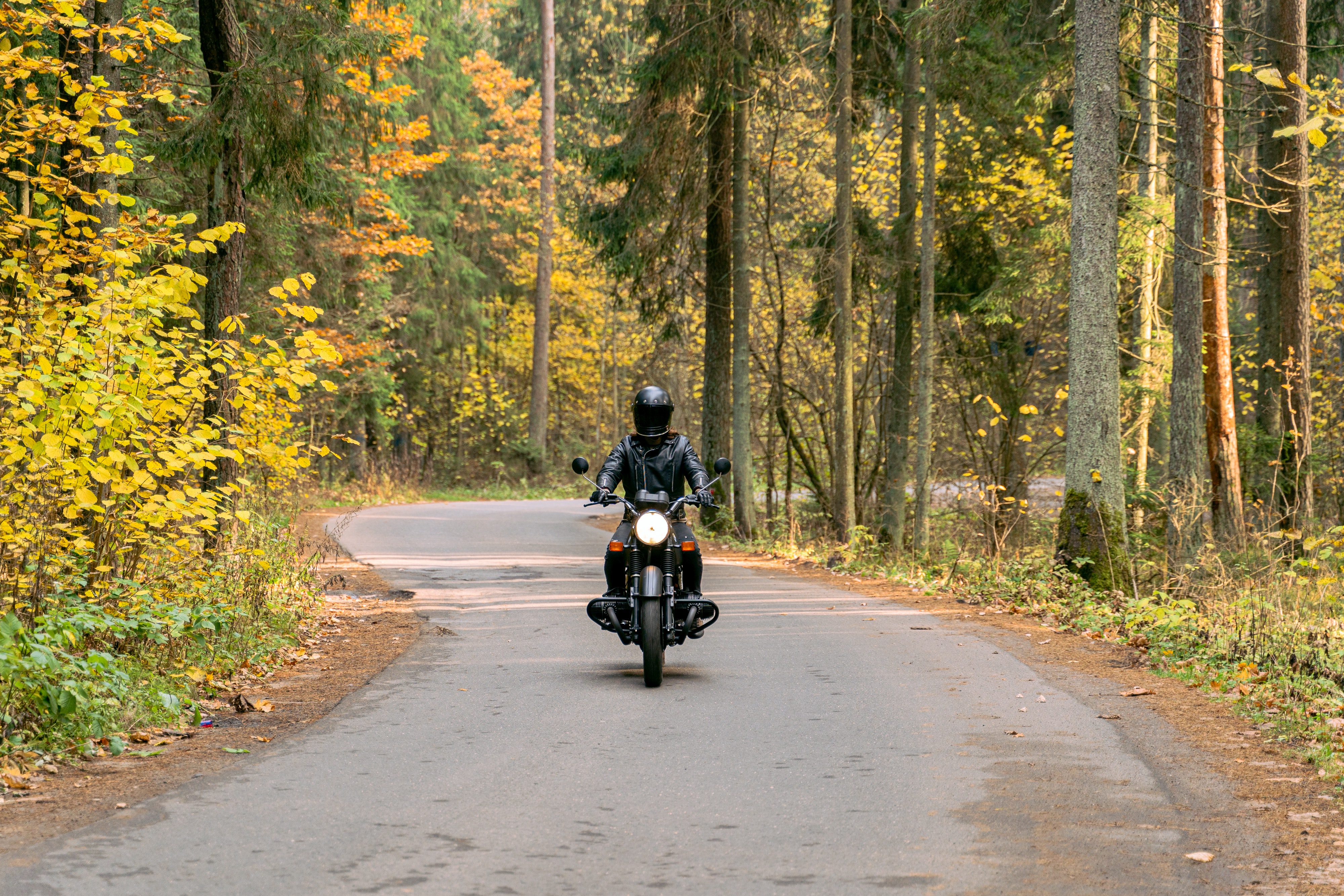 Motociclista em estrada com árvores