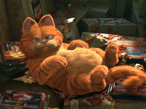 Pets famosos no cinema - Garfield