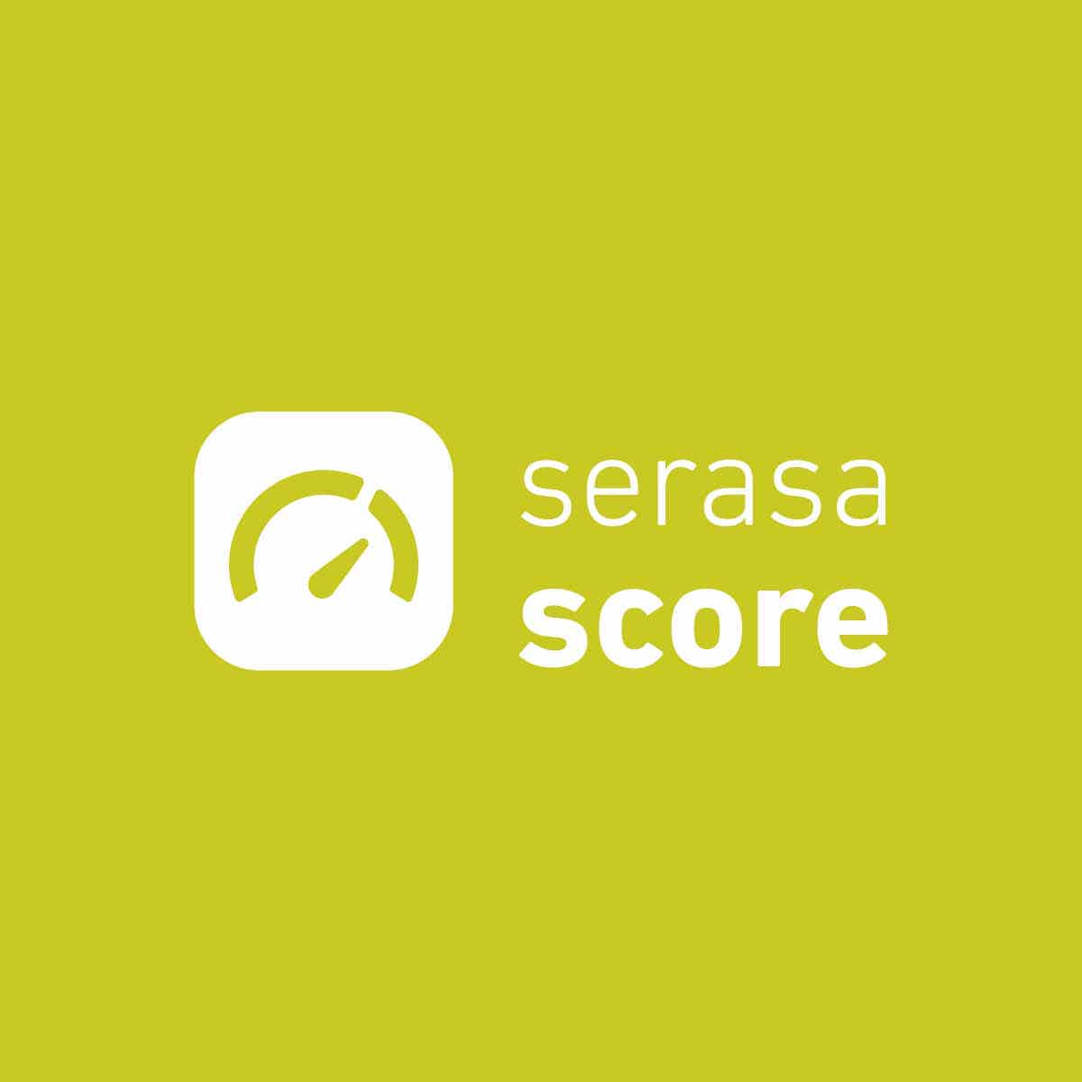 Como funciona o Serasa Score