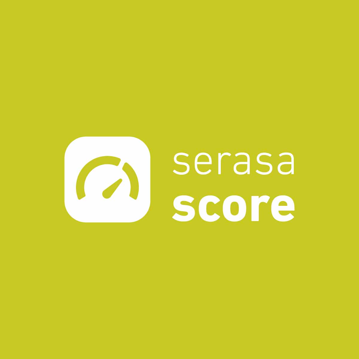 Entenda como funciona o Serasa Score para aumentar score em 2021.