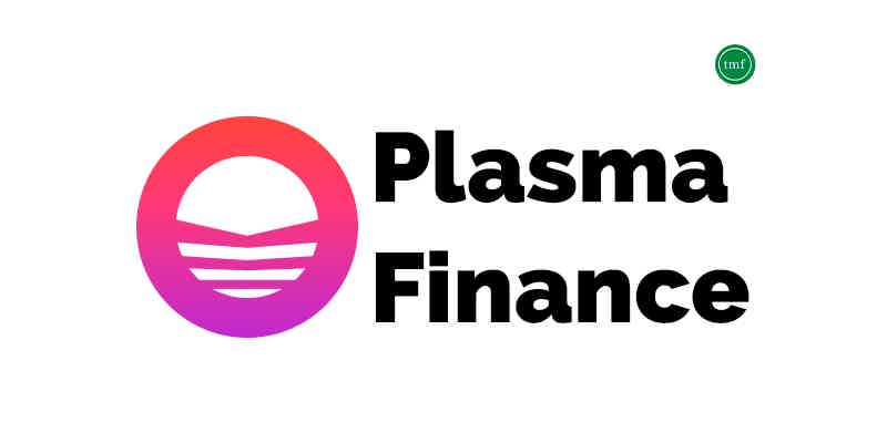 Find out everything you need to know about Plasma crypto! Source: The Mister Finance.