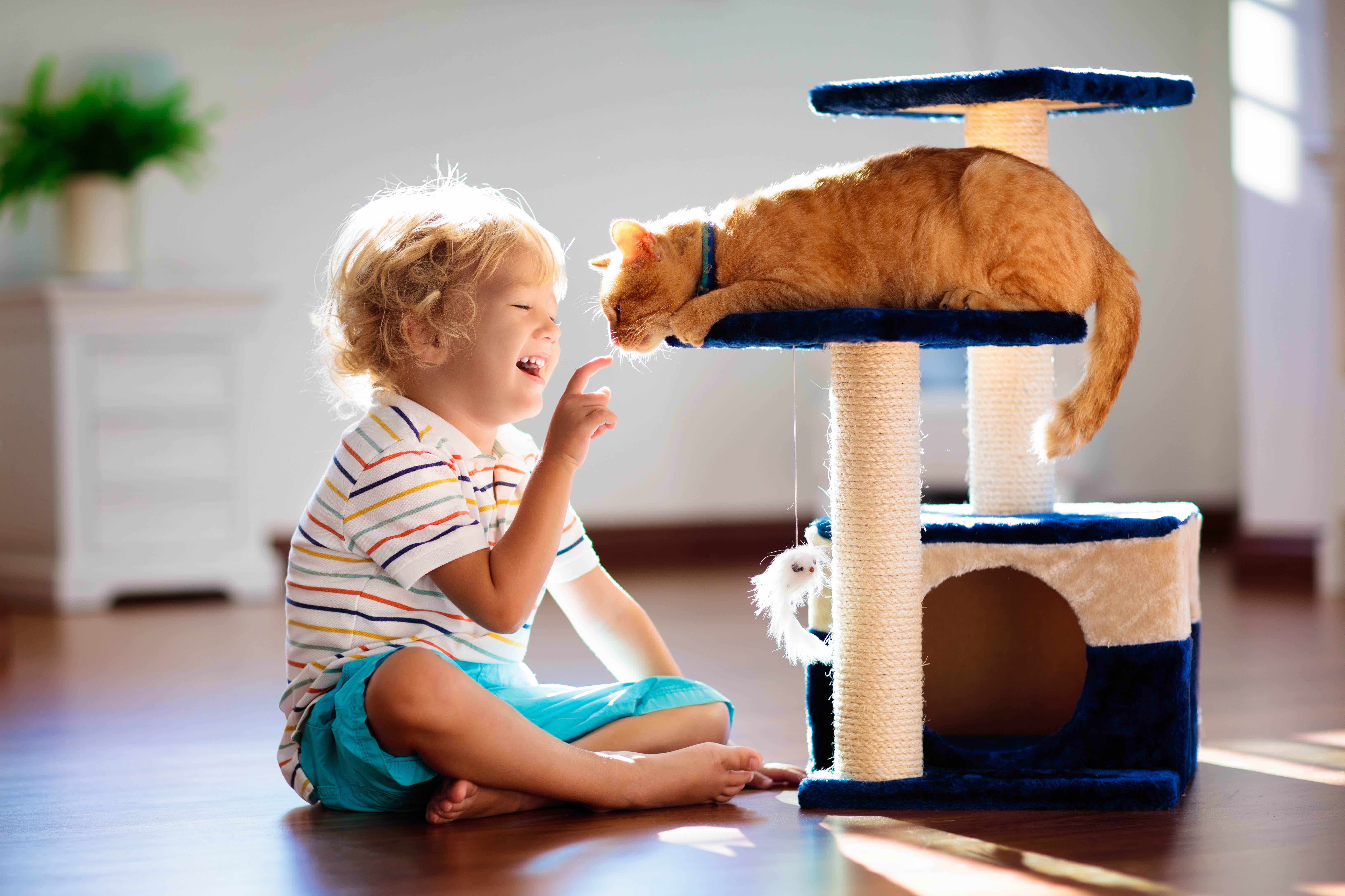 Veja algumas dicas para que a criança e o pet tenham uma boa relação! Fonte: AdobeStock.