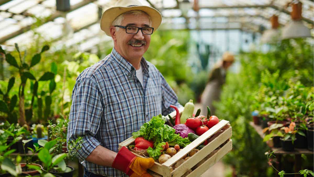 Seniors Farmers' Market Nutrition Program